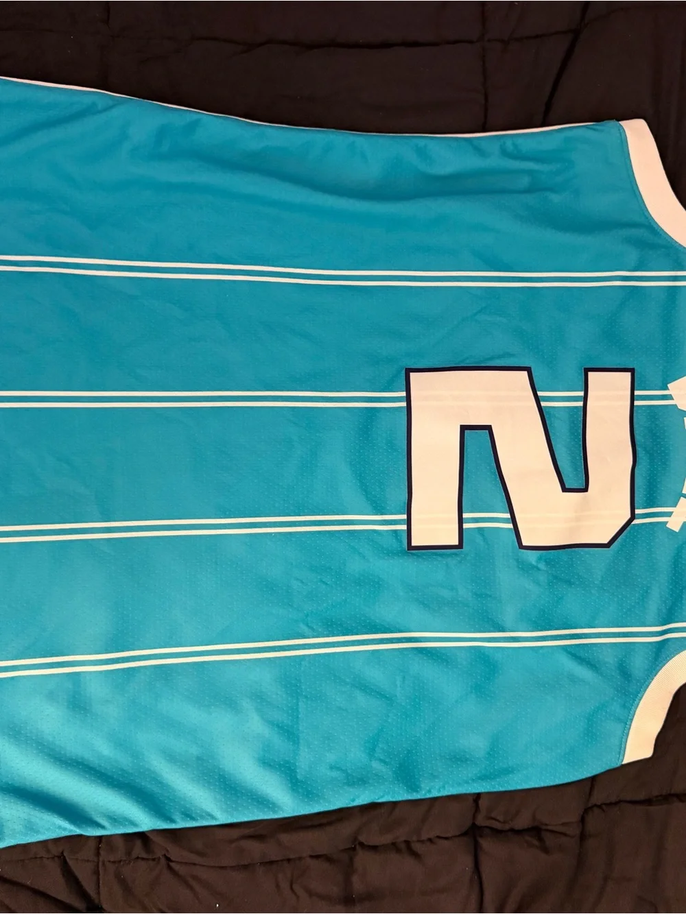 Lamelo Ball Charlotte Hornets Teal #2 Jordan Basketball Jersey
